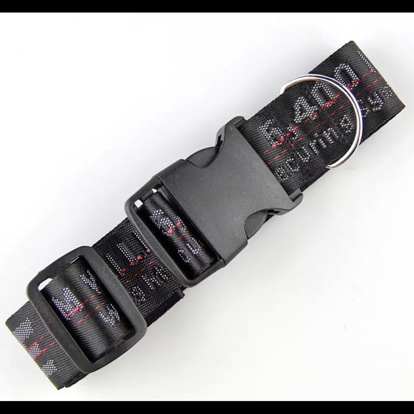 off white dog leash authentic